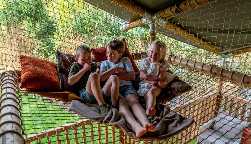 Slapen in een boomhut