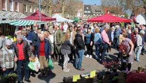 Tips voor trips - markt in Borken
